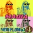 NEDIPLOMAT