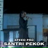Speed Pro