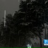 sssens1tive, forealbeaver, sxdowprod