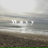 Yvngvswrld
