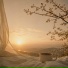 Honeymoon June