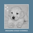 Puppy Relaxation