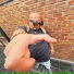 BIGSLP
