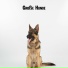 Dog-Guy