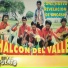 Halcón del Valle