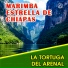 Marimba Estrella de Chiapas