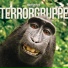 Terrorgruppe