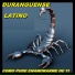 Duranguense Latino