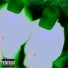6IX6IX6IX