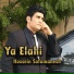 hossein safamanesh