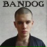 Bandog