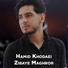 Hamid Khodaei