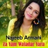 Najeeb Armani