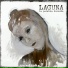 Laguna