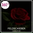 Feldschieber