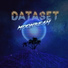 Dataset