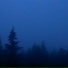 ateki, vanrssh