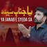 Syed Raza Abbas Shah