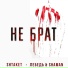 Shtaket, Лебедь & Shaman