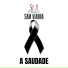 Sr.V