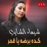 Shaimaa ElShayeb