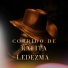 Hector El De Arriba Mx