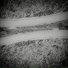 Empty360