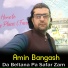 Amin Bangash