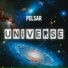 Pelsar