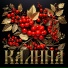 Роман Бобров