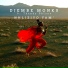 Djembe Monks feat. Thandy Dhlana