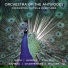 Orchestra of the Antipodes, Antony Walker