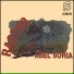 Abel Soria