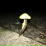 charcodenitrogeno