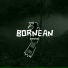 Borneboi