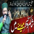 Mustansar Hussain Ranjha