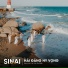 Sinai
