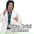 Kaiwan Karimi