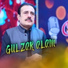 Gulzar Alam