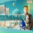 Aldisardi