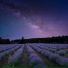 Celestial Aeon Project
