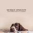 Pet Music Academy