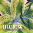 Liliedugg