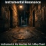 Instrumental Resonance