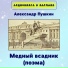 Аудиокнига в кармане, Антон Шварц