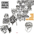 Cosmic Analog Ensemble