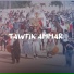 Tawfik Ammar