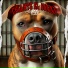 ARTIFY