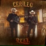 Proyecto Real