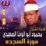 Al Sheikh Mahmoud Abo Al Wafa Al Seidy